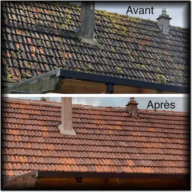 Nettoyage de toiture Saint-Pourçain-sur-Sioule, Allier (03)