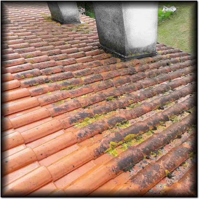 Nettoyage de toiture Saint-Pourçain-sur-Sioule, Allier (03)